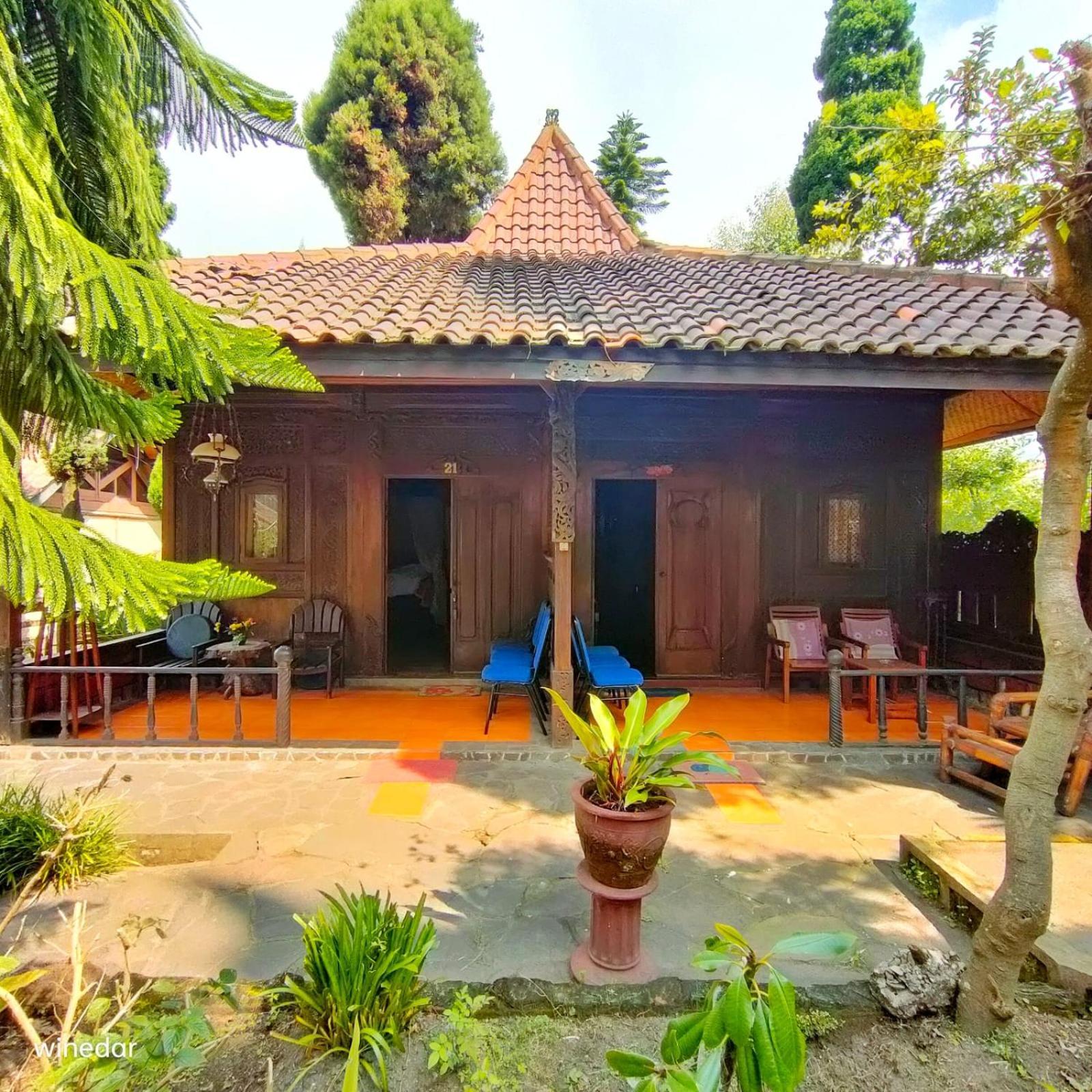 Yoschi'S Hotel Bromo Ngadisari Eksteriør billede